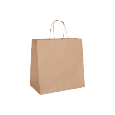 Eco Natural Kraft Paper Bag - Twisted Handle - Small